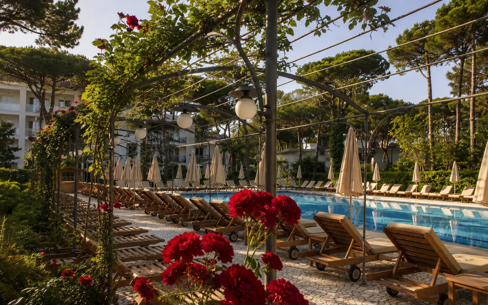 Outdoor pool surrounded by maritime pines and gardens